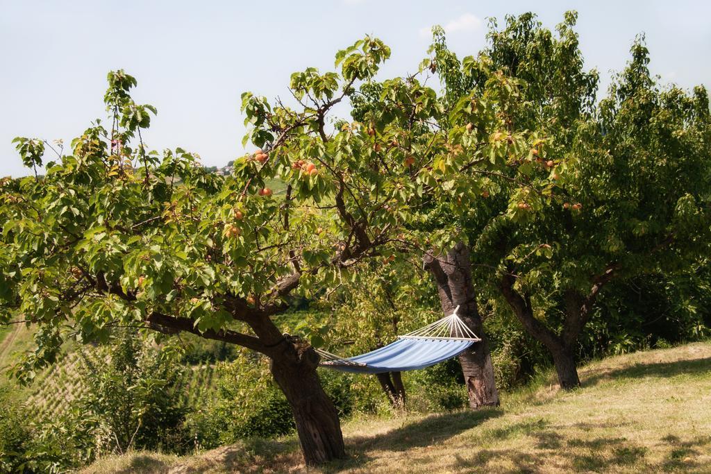 Il Poggio B&B San Damiano al Colle Εξωτερικό φωτογραφία